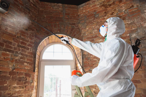 Best Forensic Mold Investigation  in Riviera Beach, FL