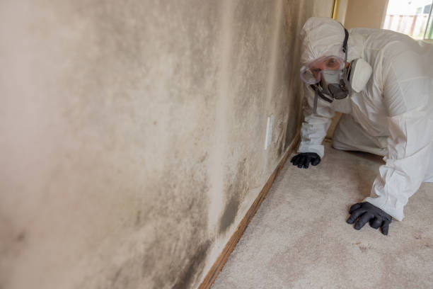 Best Residential Mold Inspection & Testing  in Riviera Beach, FL